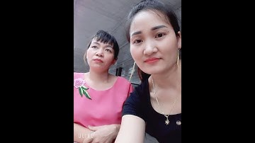 gặp nhau giữa rừng mơ