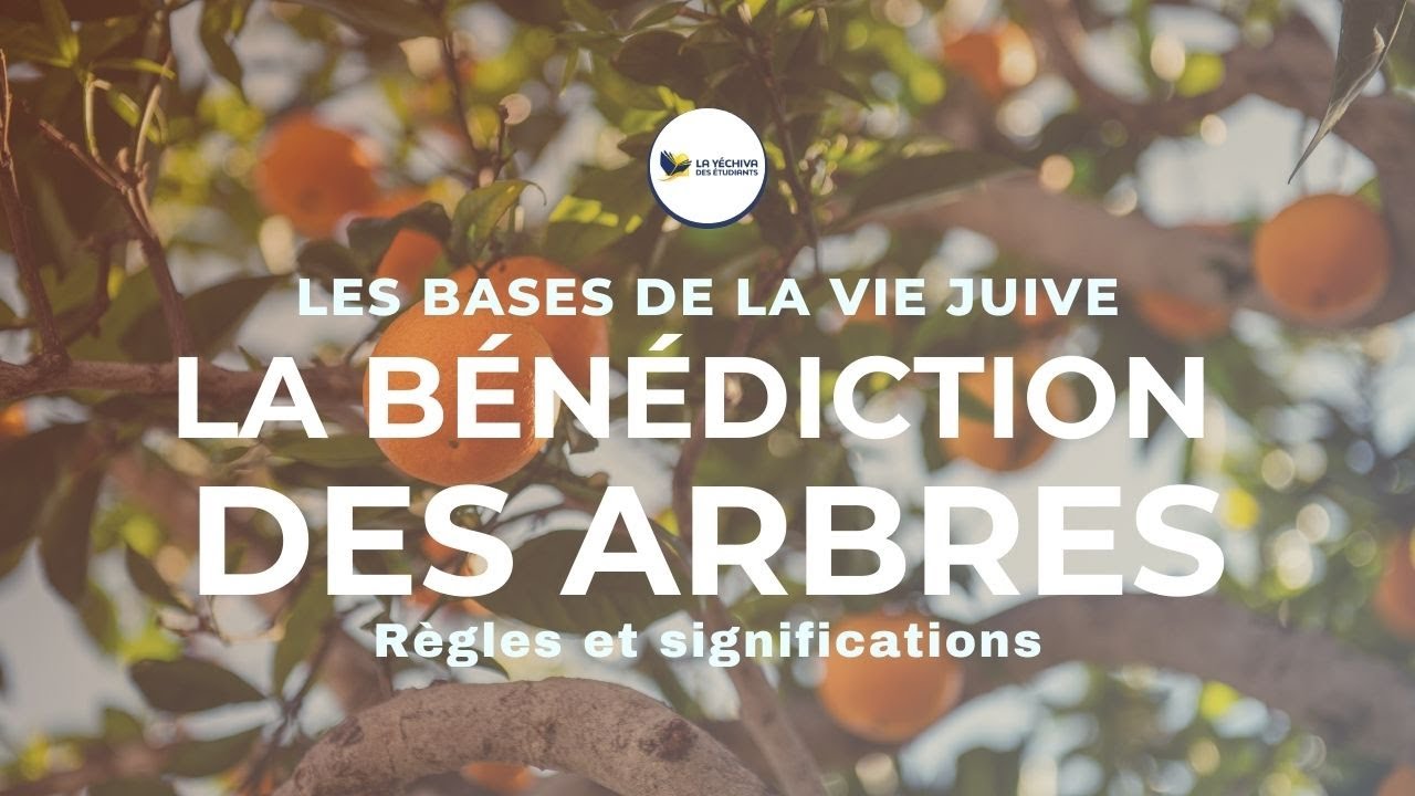 La bénédiction des arbres, règles et significations YouTube