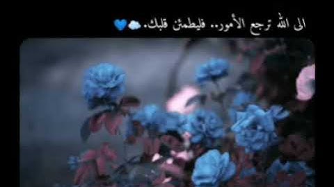 راحة نفسية 💙.. حالات واتس اب قرآن كريم شريف مصطفى/ آية قرانية قصيرة لراحة قلبك ستوريات انستا قران