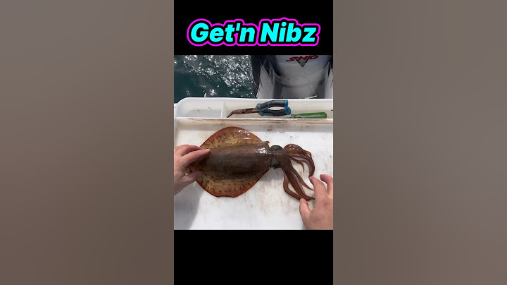How to Humanly Kill A Squid In 1 Second