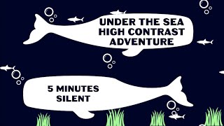 How to help my baby develop? | Under the Sea High Contrast Adventure — 5 minute, silent