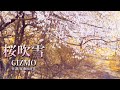 桜吹雪【GIZMO】Music Video