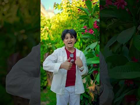 حنت لك روحي أنس سيد  