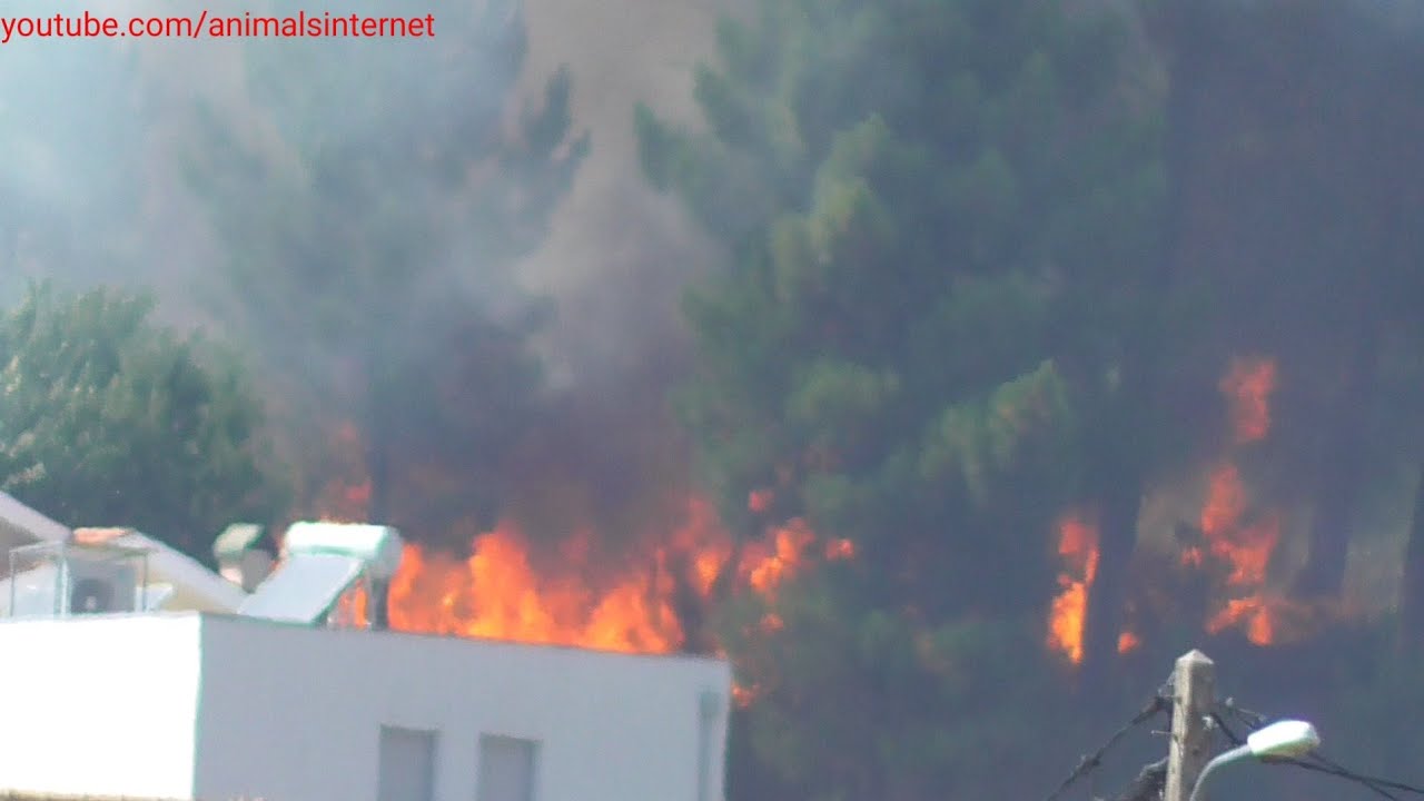 Super efficient fire fighting. Fraga da Almotelia, Vila Real, Portugal. 2022-08-02