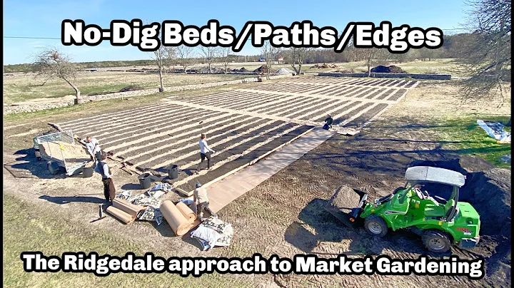 Building no-dig/no-till beds. BEDS.PATHS.EDGES