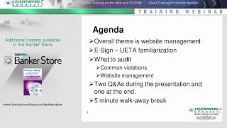 Website Auditing