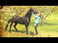 My Little Girl- Tim McGraw (Flicka) music video