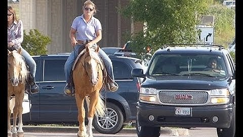 Bad Bart Bailey   ***For info, price, etc., go to our website*** Valley View Ranch