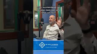 Son Recomendables Las Escuelas Especiales Para Niños Con Trastorno Del Espectro ? -