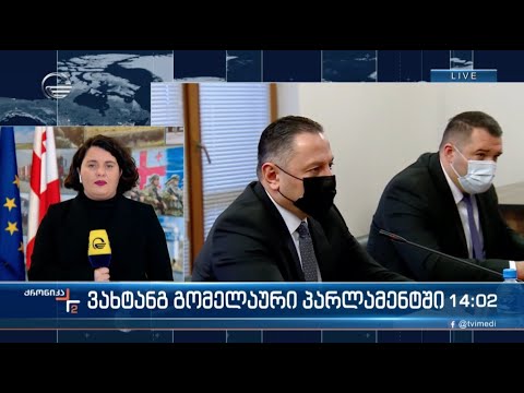 ვახტანგ გომელაური პარლამენტში