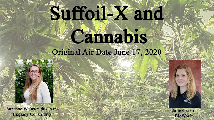 Suffoil-X and Cannabis webinar with Buglady & Julie.