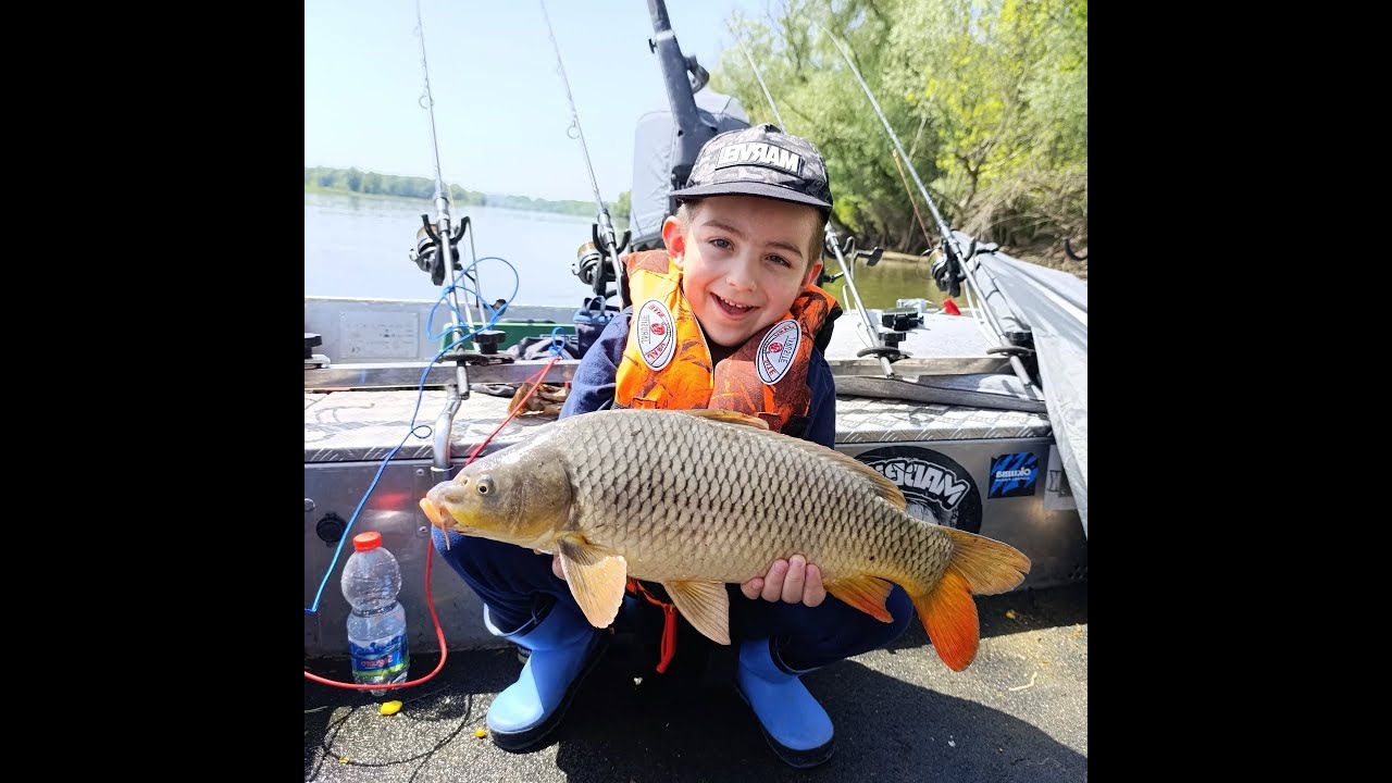 Ribolov šarana na rijeci Dravi - drž i ne puštaj !