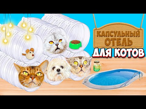Лепота Тв Новый Год Лепота Тв Новый Год