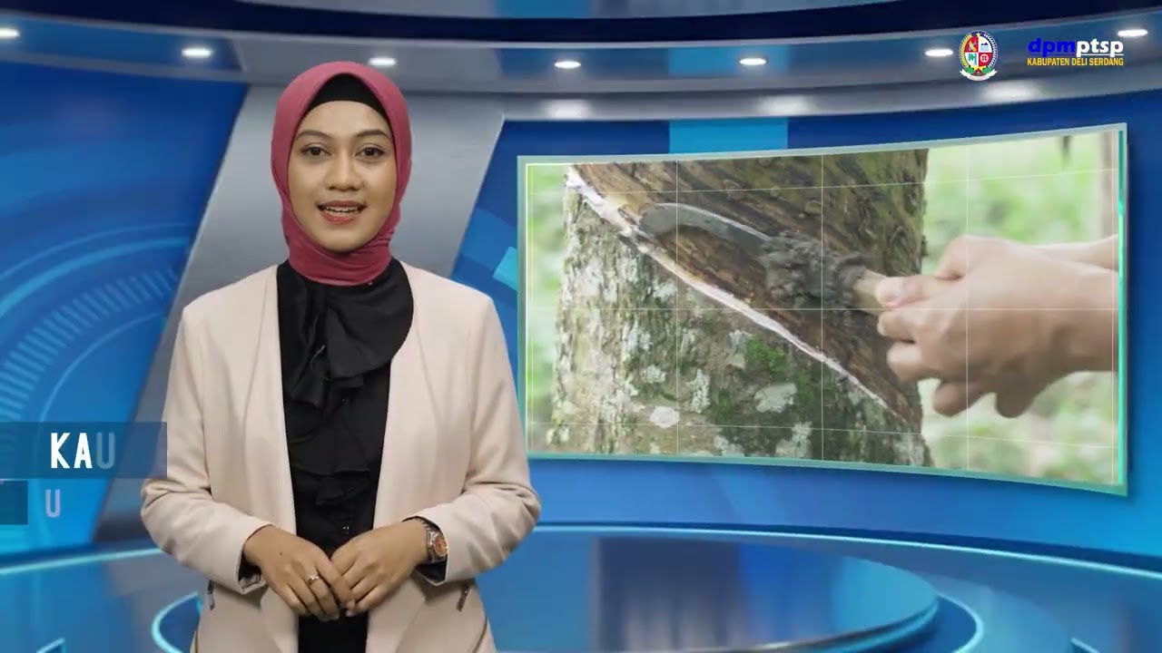 POTENSI DAERAH KABUPATEN DELI SERDANG/DPMPTSP2026