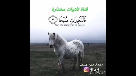عبدالرحمن مسعد حالات واتساب||سورة العاديات (والعاديات ضبحاً..) ادعمنا بإعجاب وإشتراك وفعل الجرس 🔔🌺