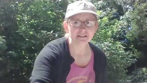 Point counts with distance sampling - habitat data + distance measurement