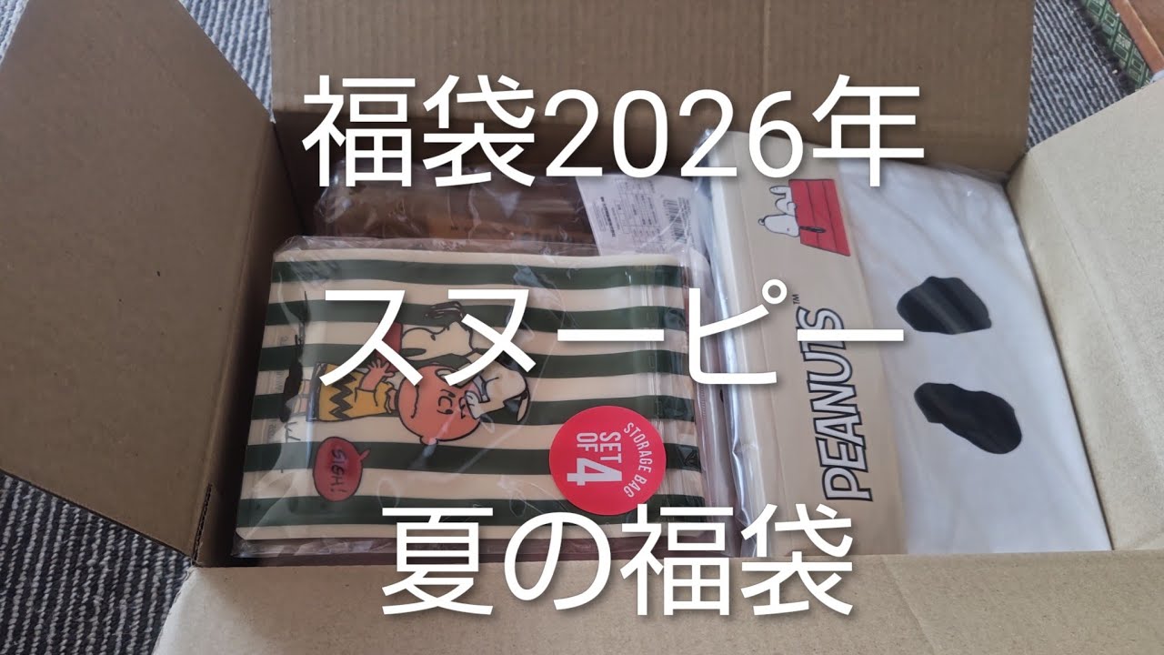 Lucky Bag Unboxing: Snoopy Goods Showcase – Okaimono Snoopy Summer