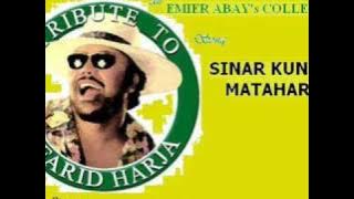 Sinar Kuning Matahari-FARID H & BANI ADAM   (EMIER ABAY's ....wmv