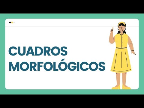 Video: ¿Qué es el abordaje morfológico?