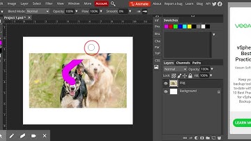 Photopea  RectangleEllipse Selection Tool