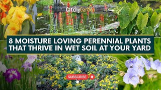 Top 8 Moisture Loving Perennial Plants That Thrive In Wet Soil