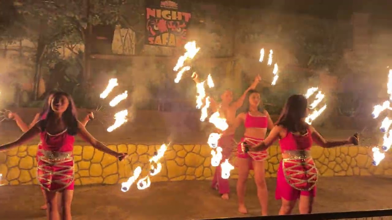 Zoobic Safari Night Show : May 31, 2025