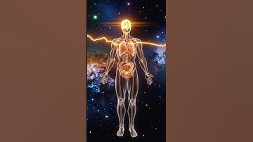 Human Brain Explained in 1 Minute | Amazing Brain Facts You Didn’t Know”