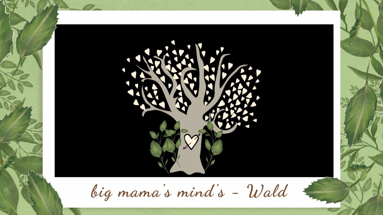 Wald - Gedanken über die Veränderung der Wälder meiner Heimat. 