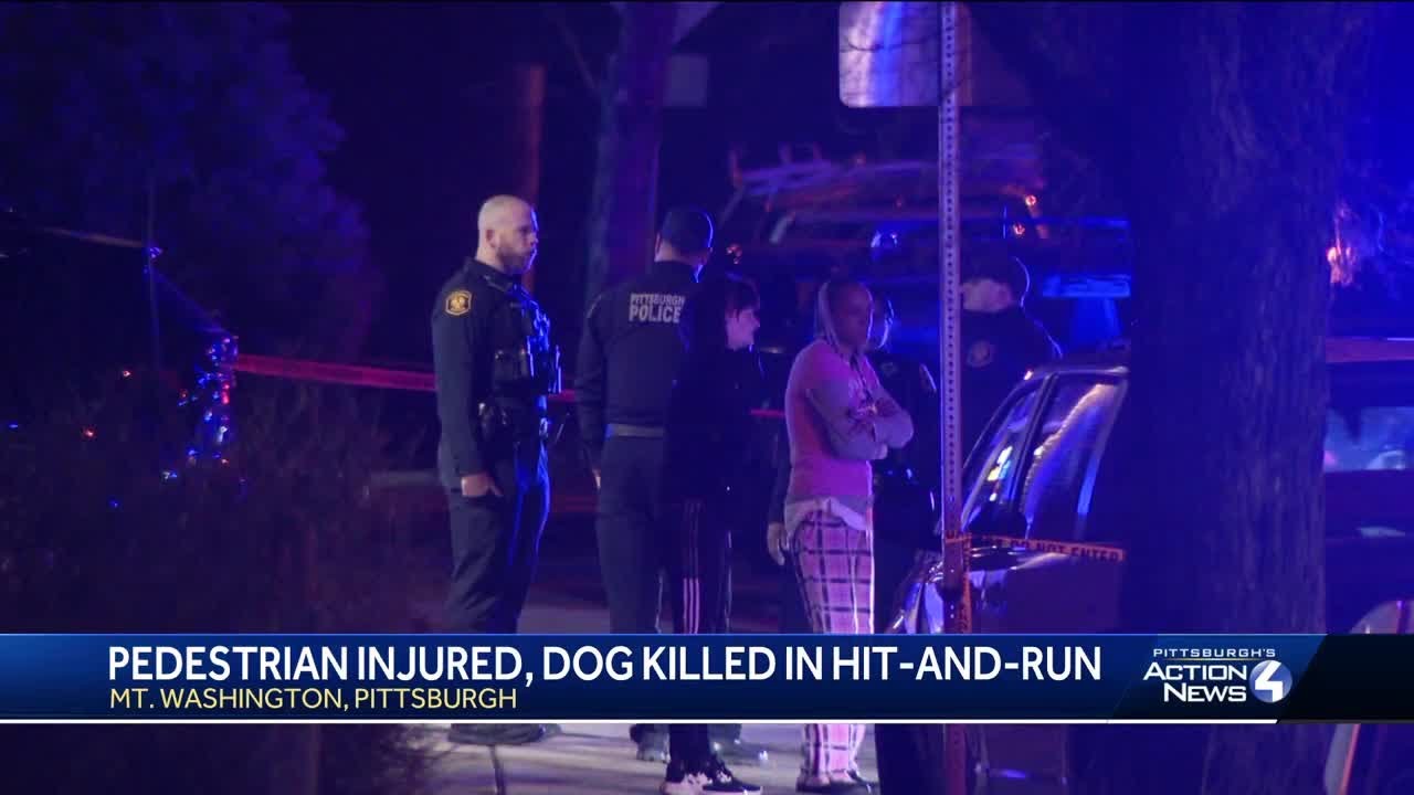Man injured, dog killed after hit-and-run in Mount Washington - YouTube