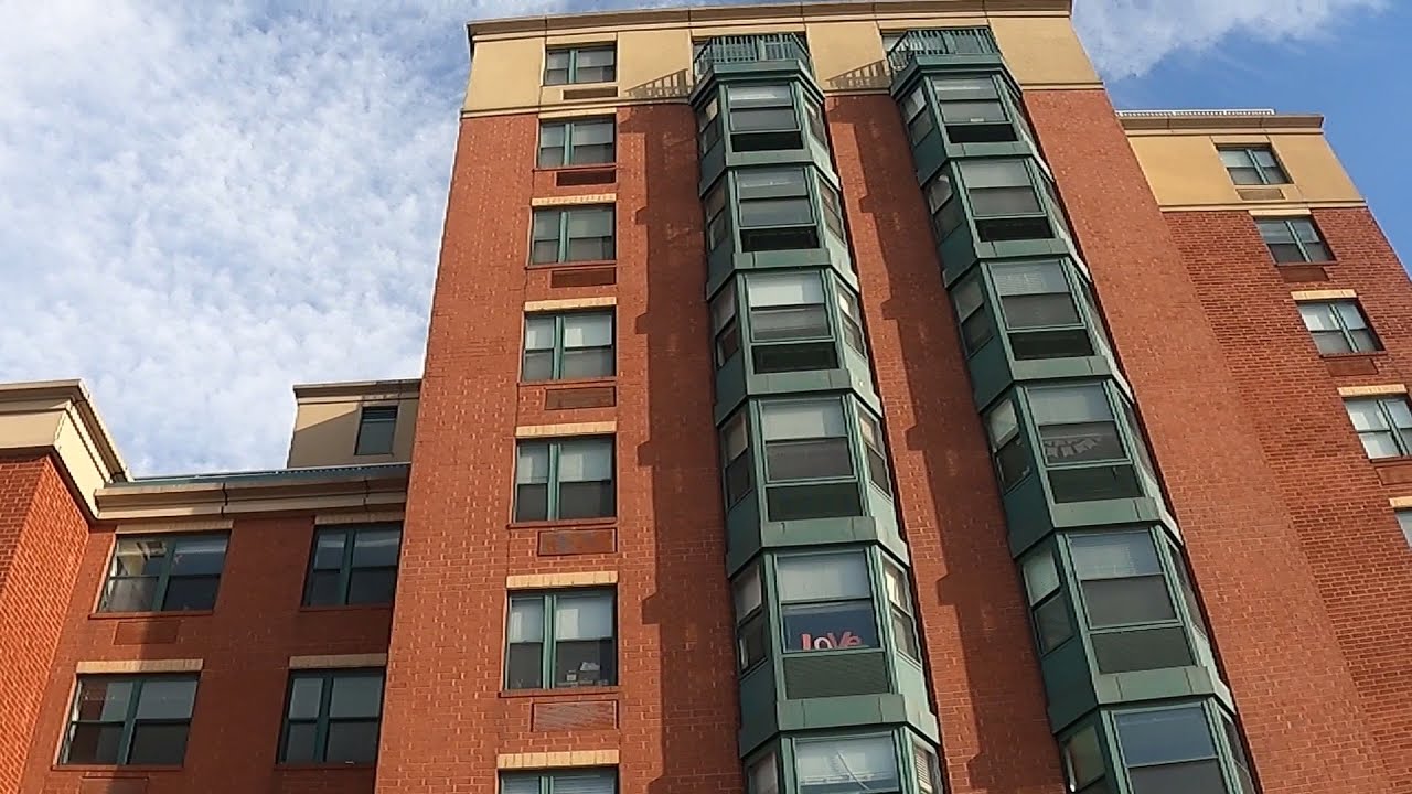 🏄‍♀️ The Pier of Yonkers, NY/ El Muelle de Yonkers 🏄‍♂️