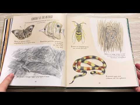 Красивая книга о животных