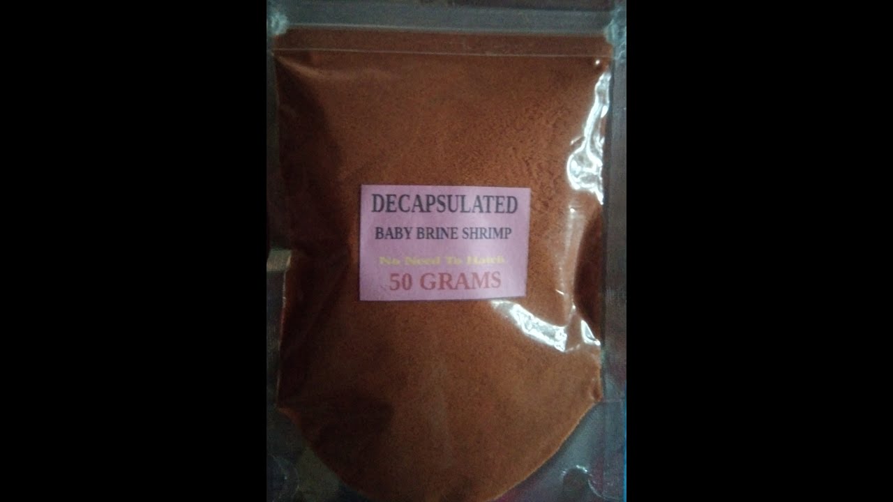 Decapsulates Baby Brine Shrimp