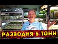 Аквариумная разводня объемом 5 тонн в 9 кв. метрах!