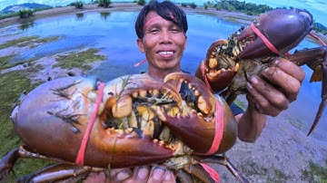GREAT SKILL OF CATCHING CRAB BY  THE COASTAL FISHERMAN