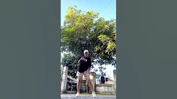 Freaky Friday Ft Chris Brown Tiktok Trend Shorts Tiktok Zolialamsiam 