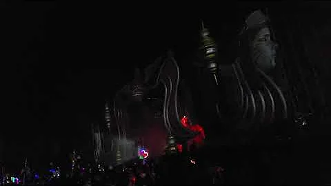 Allison Wonderland Electric Forest 2019