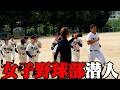 【職無き野球部】真夏の強化練習with明治大学女子硬式野球部