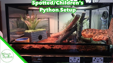 How to Setup A Spotted/Children’s Python Enclosure