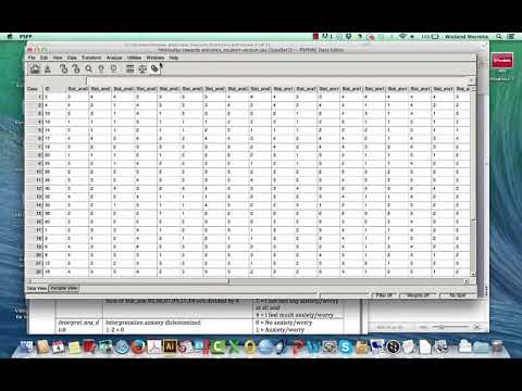 PSPP 2 Enkla univariata och bivariata analyser