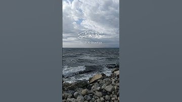 سورة الغاشية بصوت كمال عبد العزيز