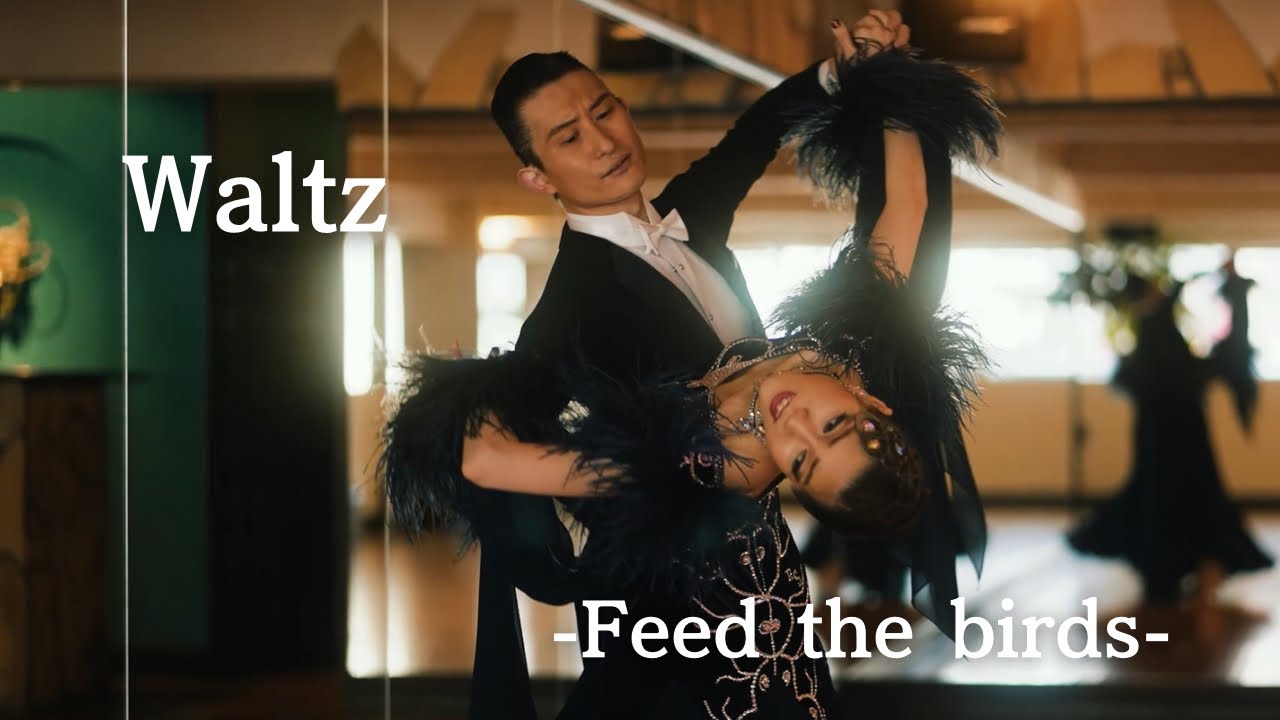 Waltz「Feed the birds」 - YouTube