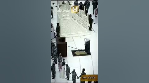 أفلا ينظرون الى الإبل كيف خلقت" تلاوة إبداعية مع إبداع الشيخ بندر بليلة أجمل حالات واتس اب