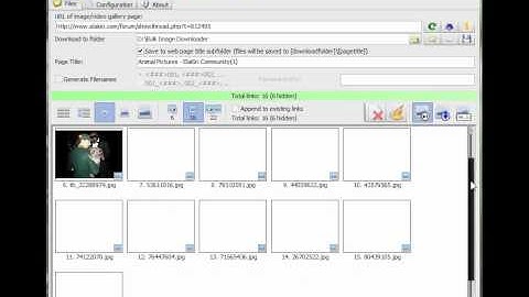 Bulk Image Downloader Elakiri com DjSpK