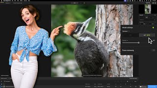 New GENERATIVE Model in Gigapixel ver 8.3 Net Worth