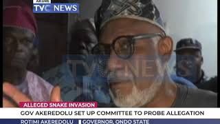 Alleged snake invasion: Akeredolu accuses Ondo lawmakers of blackmail