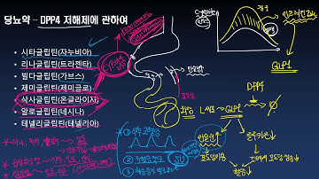 당뇨약 - DPP4저해제(자누비아, 트라젠타, 가브스 등)에 관한 이야기