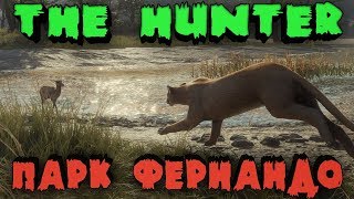 Охотник на Буйвола - Игра в кошки мышки в Парке Фернандо TheHunter Call of the Wild Охотник на Буйвола - Игра в кошки мышки в Парке Фернандо TheHunter Call of the Wild