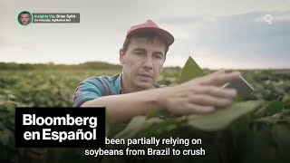 Productores de soja de América del Sur enfrentan un enorme desafío