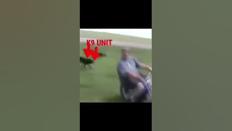 K9 UNIT BE LIKE #short #codm #memes