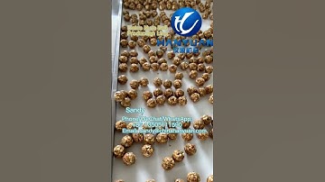 Dates Ball Machine | Dates Ball Production Line | Dates Nut Ball Machine | Dates Energy Ball Machine